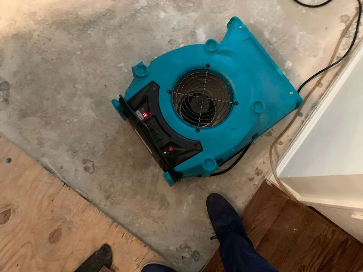 Air mover drying subfloor during Leak Detection & Repair in Walnut Ridge
